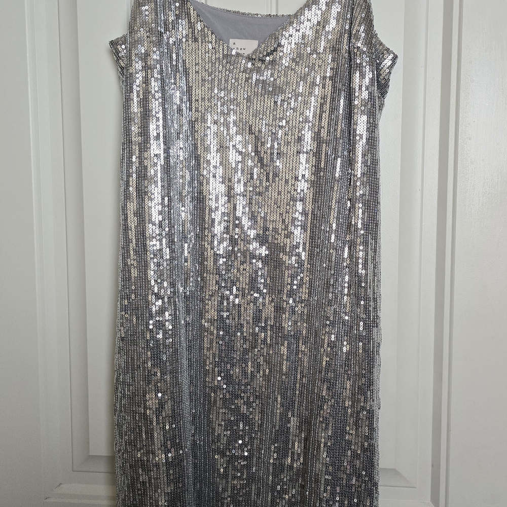 A New Day Silver Sequin Dress